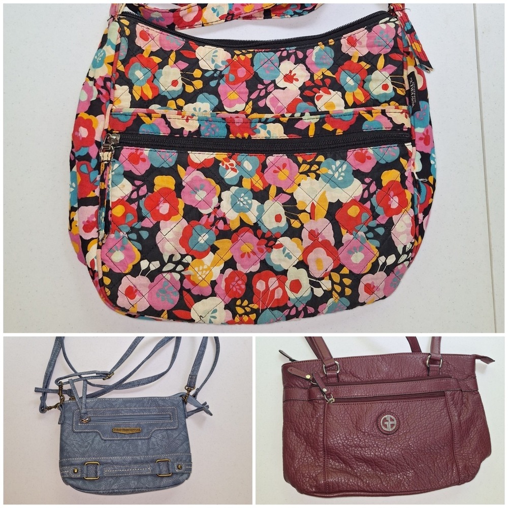 Lot of 3 Purses: Waverly Floral Crossbody, Giani Bernini & Stone Mt Hobos